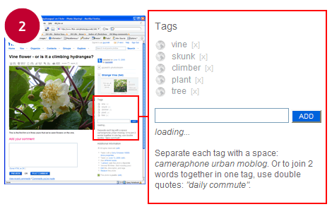 see accompanying text