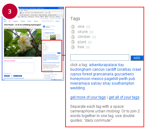 see accompanying text